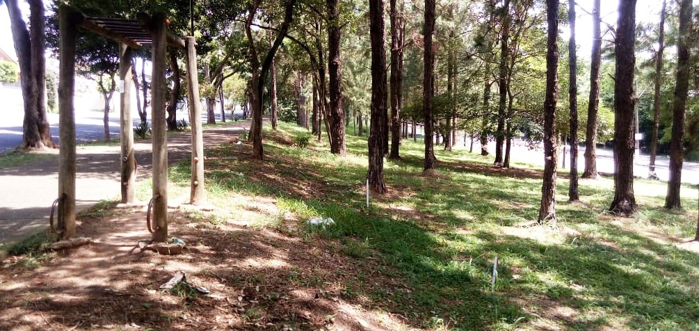 2020129_Calçadão da Feltrin